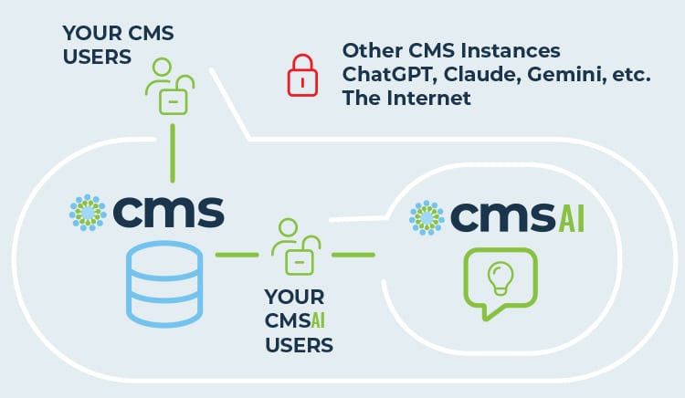 CMS AI privacy chart displaying the CMS AI ecosystem